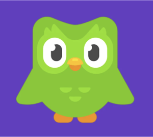 Duolingo Logo